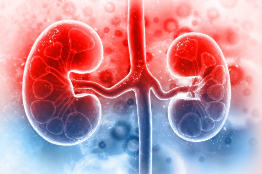 Kidney Transplant for Pareemon