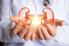 Kidney Transplantation for Amil